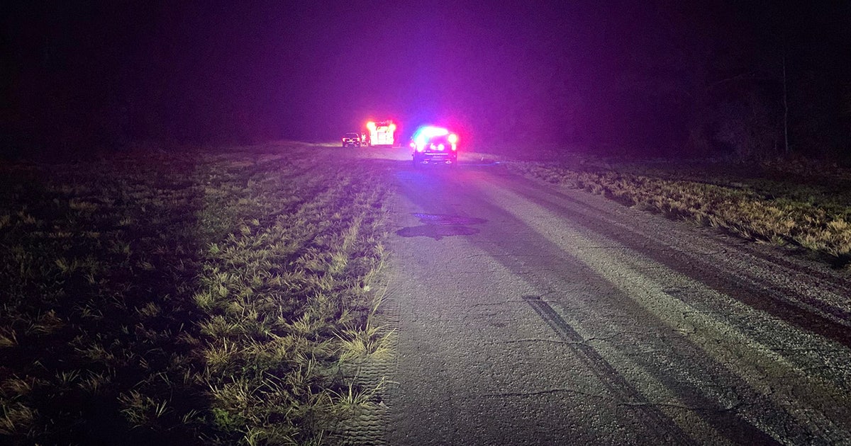 1 dead after teens crash stolen car into North Port tree | FOX 13 Tampa Bay