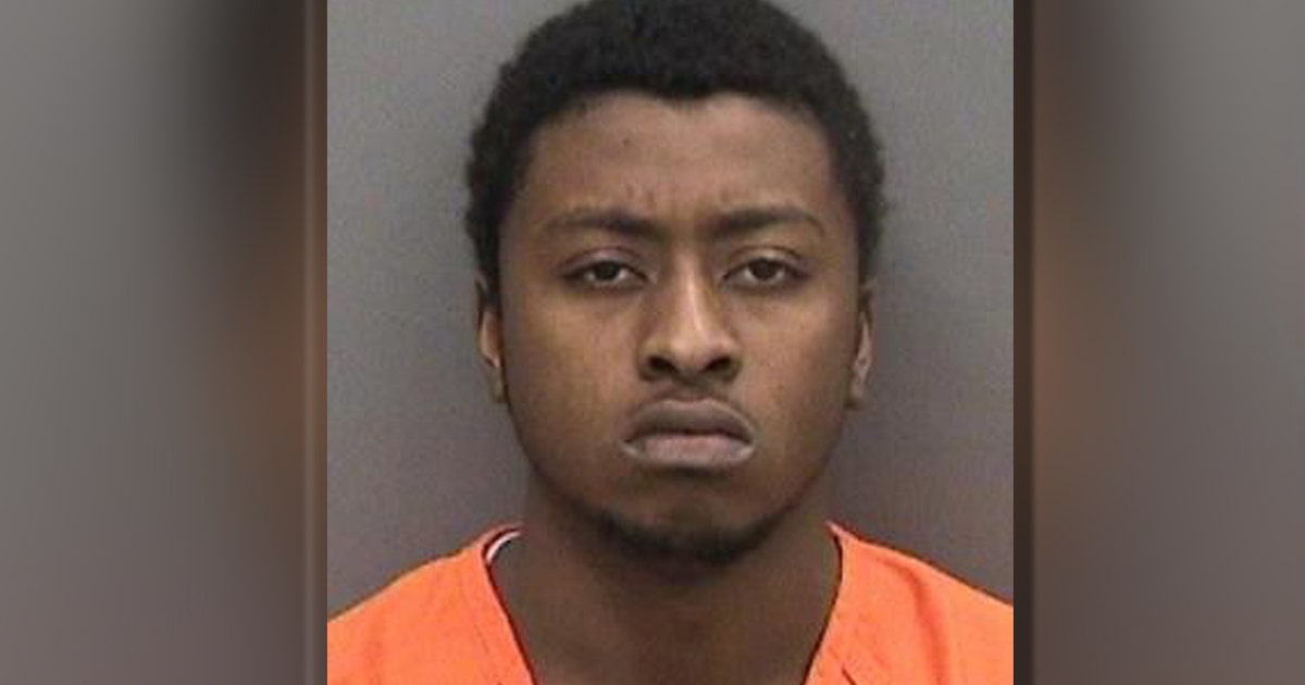 Tampa police arrest armed robbery suspect | FOX 13 Tampa Bay