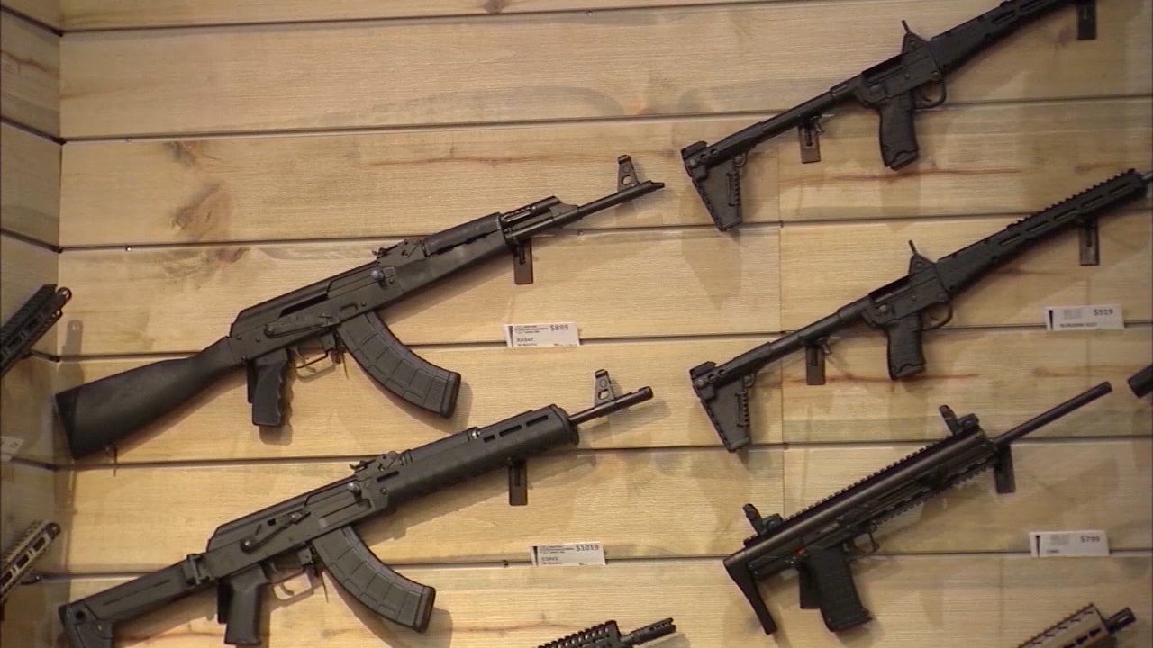 Florida Senate Panel Backs Gun Control Measure Fox 13 Tampa Bay