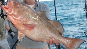 Fishing Report: January 31, 2020