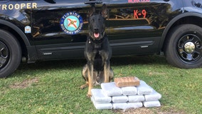 Troopers find 12 kilos of cocaine in Ruskin woman's car during traffic stop