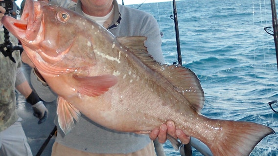 Fishing Report: January 31, 2020