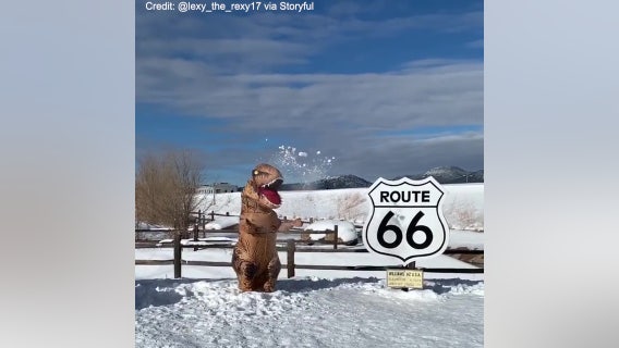 'T-Rex' Plays in Snow Near Iconic Route 66 Sign in Arizona