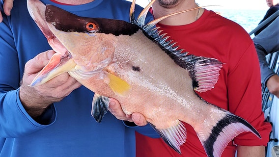 Fishing Report: January 10, 2020