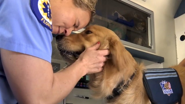 Service dog donated to help Manatee County first responders manage stress