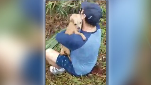 A Florida man reunited with his best friend days after the dog disappeared following a crash 