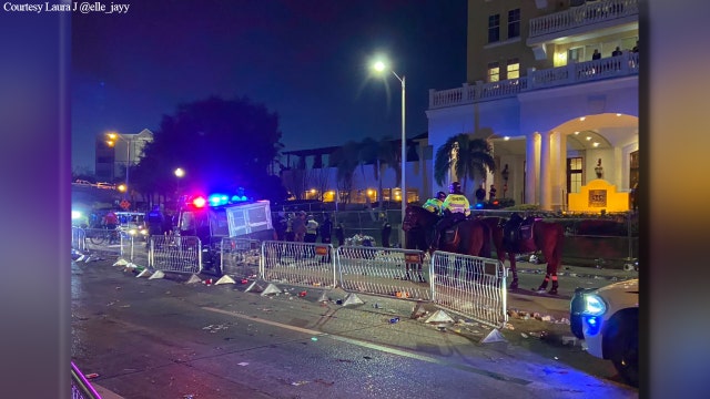 Eyewitnesses dispute deputies' version of events after dog shot, killed following Gasparilla