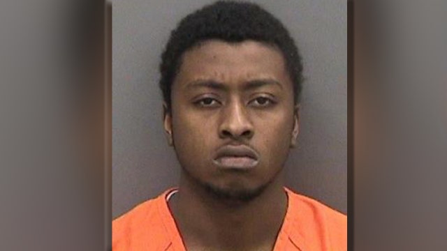 Tampa police arrest armed robbery suspect