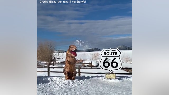 'T-Rex' Plays in Snow Near Iconic Route 66 Sign in Arizona