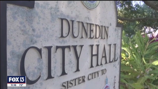 Dunedin reviewing whether to allow partisan donations in local elections