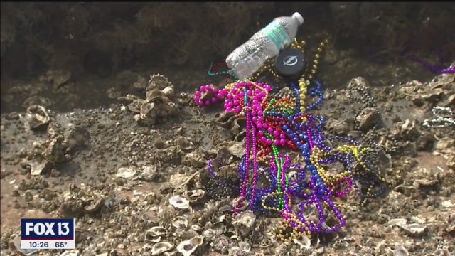 Campaign to keep beads out of Tampa Bay appears successful