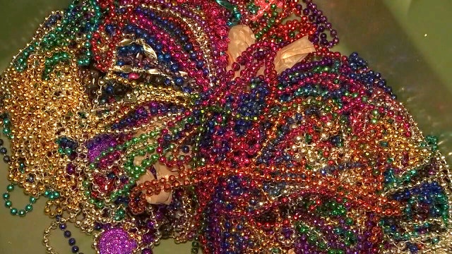 Turn in your Gasparilla beads for discounted, free admission to The Florida Aquarium