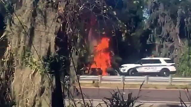 Dump truck driver killed in crash as rescue efforts fail