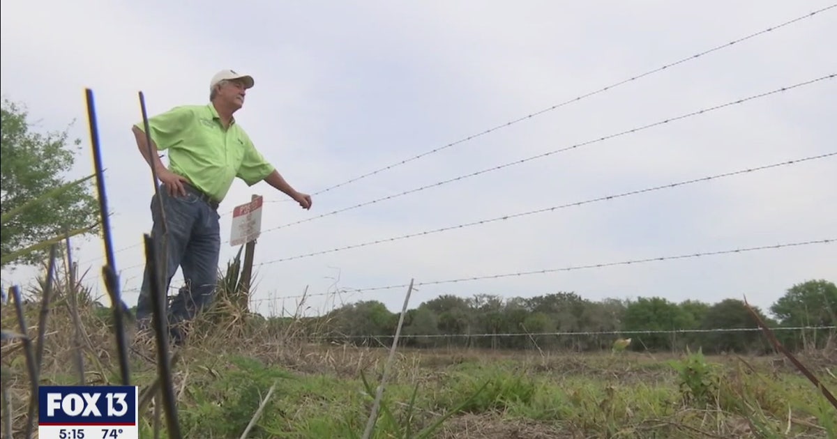 Orange Hammaock Ranch Foundation hopes to preserve Orange Hammock Ranch for generations | FOX ...