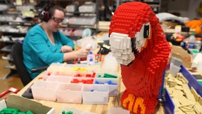 Dream job: How master builders create those giant LEGO models