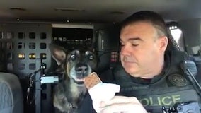 K-9 gets sweet send-off before retirement