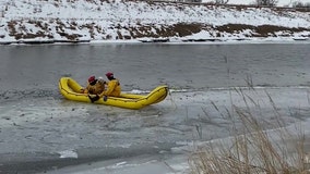 Dog chasing geese rescued from icy river in South Dakota