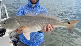 Fishing Report: February 21, 2020