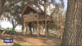 The new employee break room at Wish Farms is a treehouse