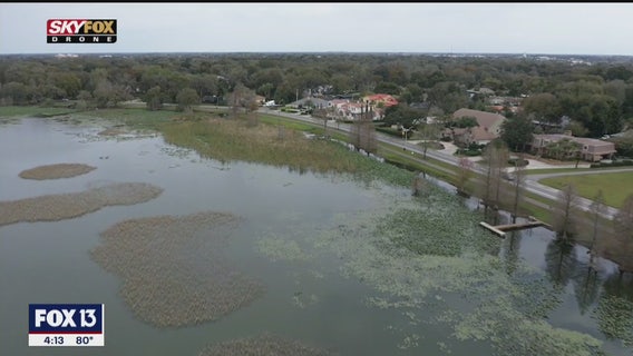 Lake Hollingsworth: A beautiful place to walk, bike, and sightsee