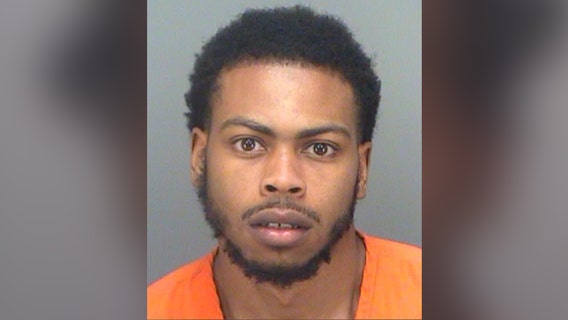 1 arrested following multi-vehicle crash involving Pinellas deputy and K-9