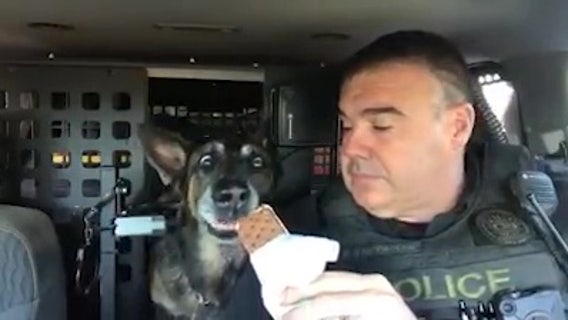 K-9 gets sweet send-off before retirement
