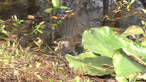 'Real Florida' nature is what you'll find at Colt Creek State Park