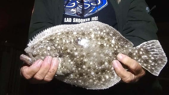 Fishing Report: February 28, 2020