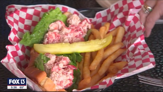 The great search for great seafood