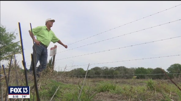Foundation hopes to preserve Orange Hammock Ranch for generations