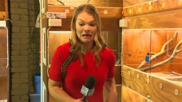 Snake strikes reporter’s microphone in Australia
