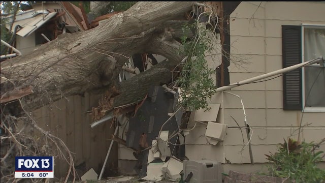 Tornado sends two trees crashing through Seminole home