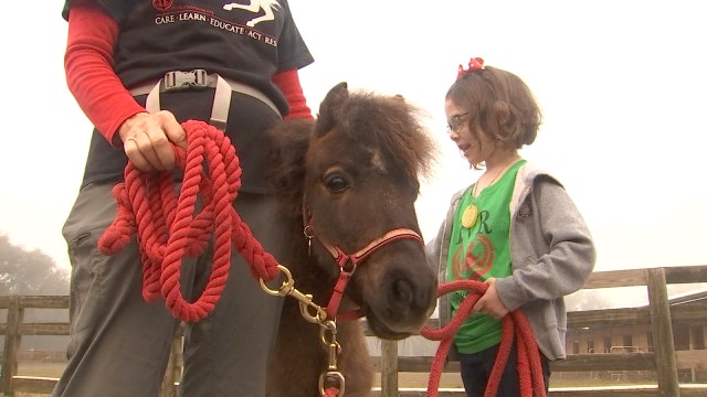 7-year-old has idea to help charities through family’s café, raises over $1,000 for local horse rescue