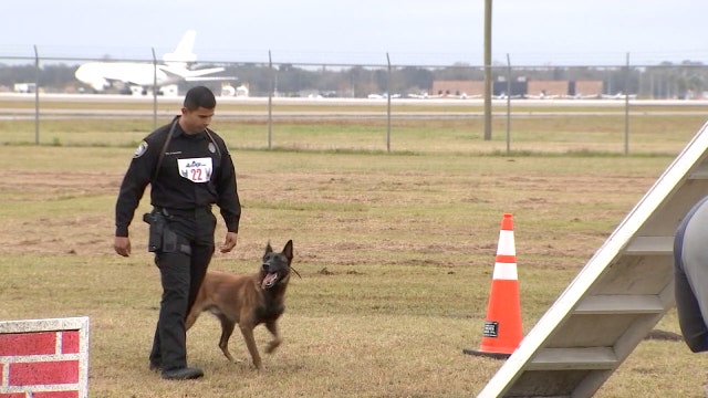 Pinellas County hosts U.S. Police Canine Association field trials