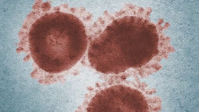 Mexico confirms first 2 cases of coronavirus