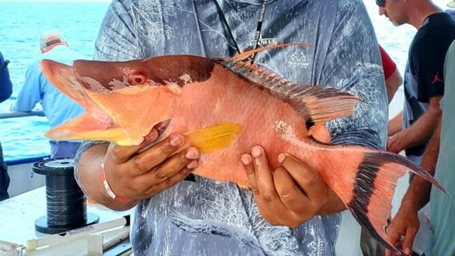 Fishing Report: February 14, 2020