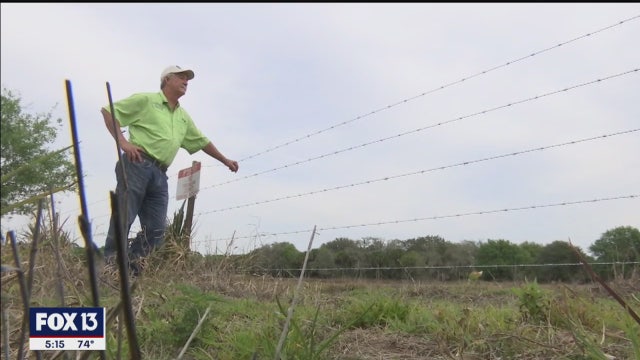 Foundation hopes to preserve Orange Hammock Ranch for generations