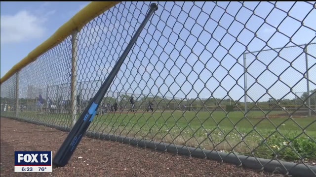 New-look Rays confident they'll be deeper, better