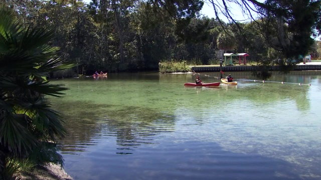 Hernando to discuss options for balancing tourism, conservation along Weeki Wachee River