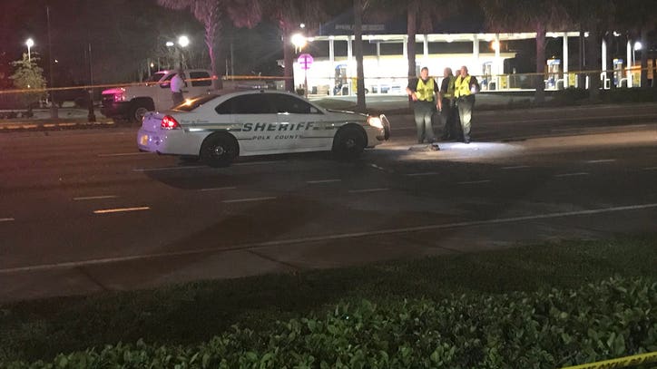 Polk County Sheriff's Office: Pedestrian killed after being hit by ...