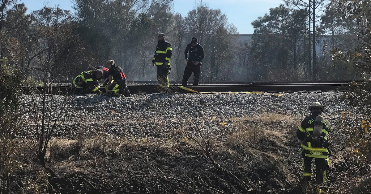 Town ‘n’ Country brush fire under investigation | FOX 13 Tampa Bay