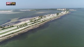 'Coastal vibes' make Dunedin a year-round draw