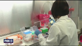 Medical experts say Florida' needs to increase COVID-19 testing, quickly
