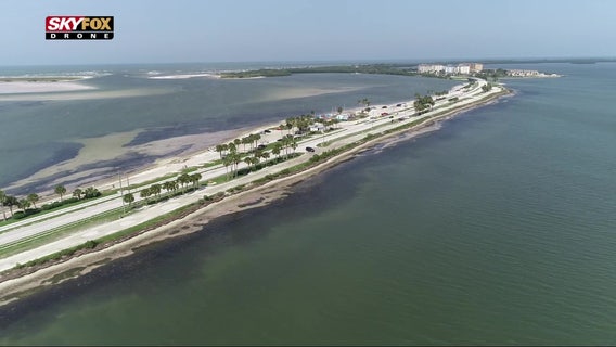 'Coastal vibes' make Dunedin a year-round draw