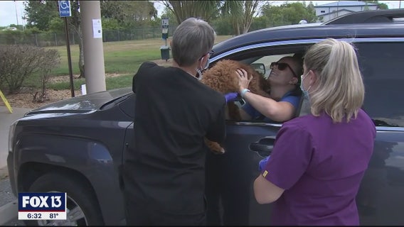 Veterinarians offer curbside appointments to limit COVID-19 exposure