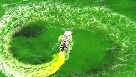 Hillsborough River will turn bright green for annual St. Patrick's Day party