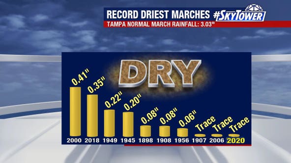 Tampa on track for driest March ever