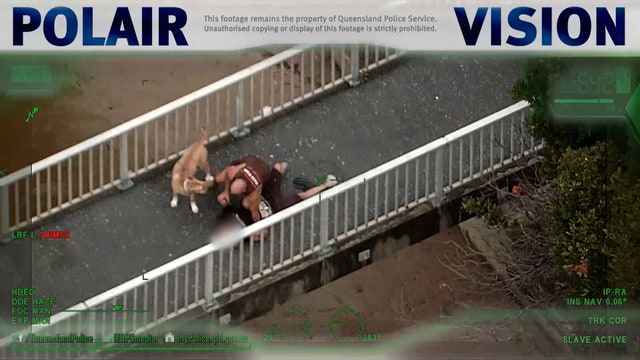 Dog-walker tackles driver of stolen car after police chase in Australia