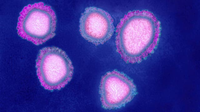 Will heat stop the spread of the new coronavirus? No one really knows