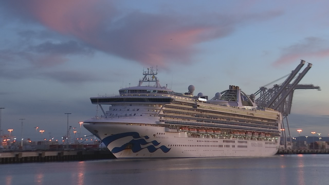Coronavirus lived on Diamond Princess cruise ship for up to 17 days, CDC says